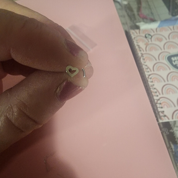 Nose Rings - Picture 6 of 6